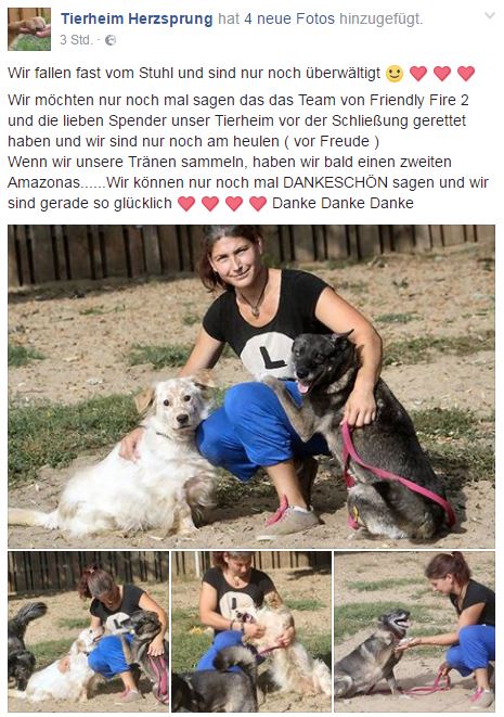 Das Tierheim Herzsprung kann weiterhin bestehen dank FF2. friendly fire 2 tierheim herzsprung